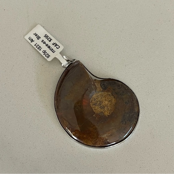 One of A Kind Ammolite Fossil Pendant - Picture 9 of 10